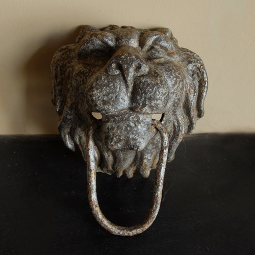 Lion Pull Or Tether