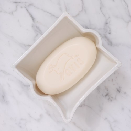 19Th Century French Porcelain Soap Dish