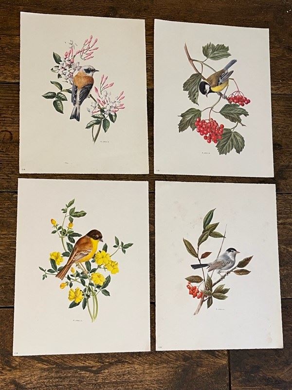 Set Of Swiss Flower Prints By A Marlin -y-vintage-img-8561-main-638271000840719385.jpeg