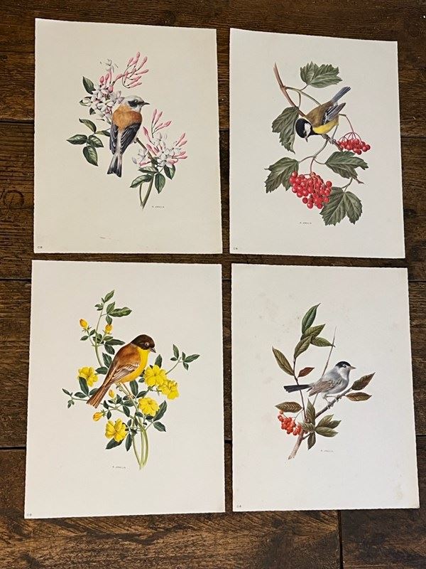 Set Of Swiss Flower Prints By A Marlin -y-vintage-img-8562-main-638271000600251926.jpeg