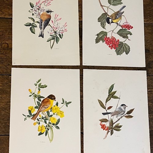 Set Of Swiss Flower Prints By A Marlin 